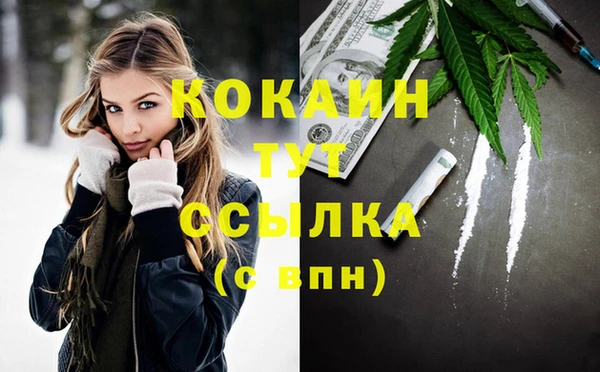 кокс Осташков