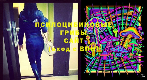 кокс Осташков