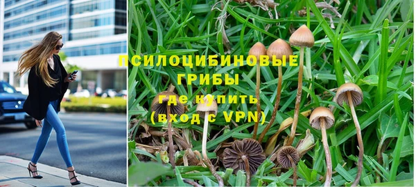 кокс Осташков