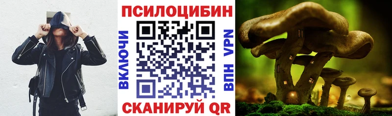 Галлюциногенные грибы Psilocybine cubensis Кодинск